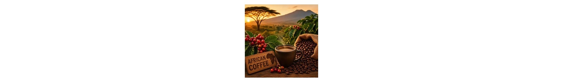 Africa